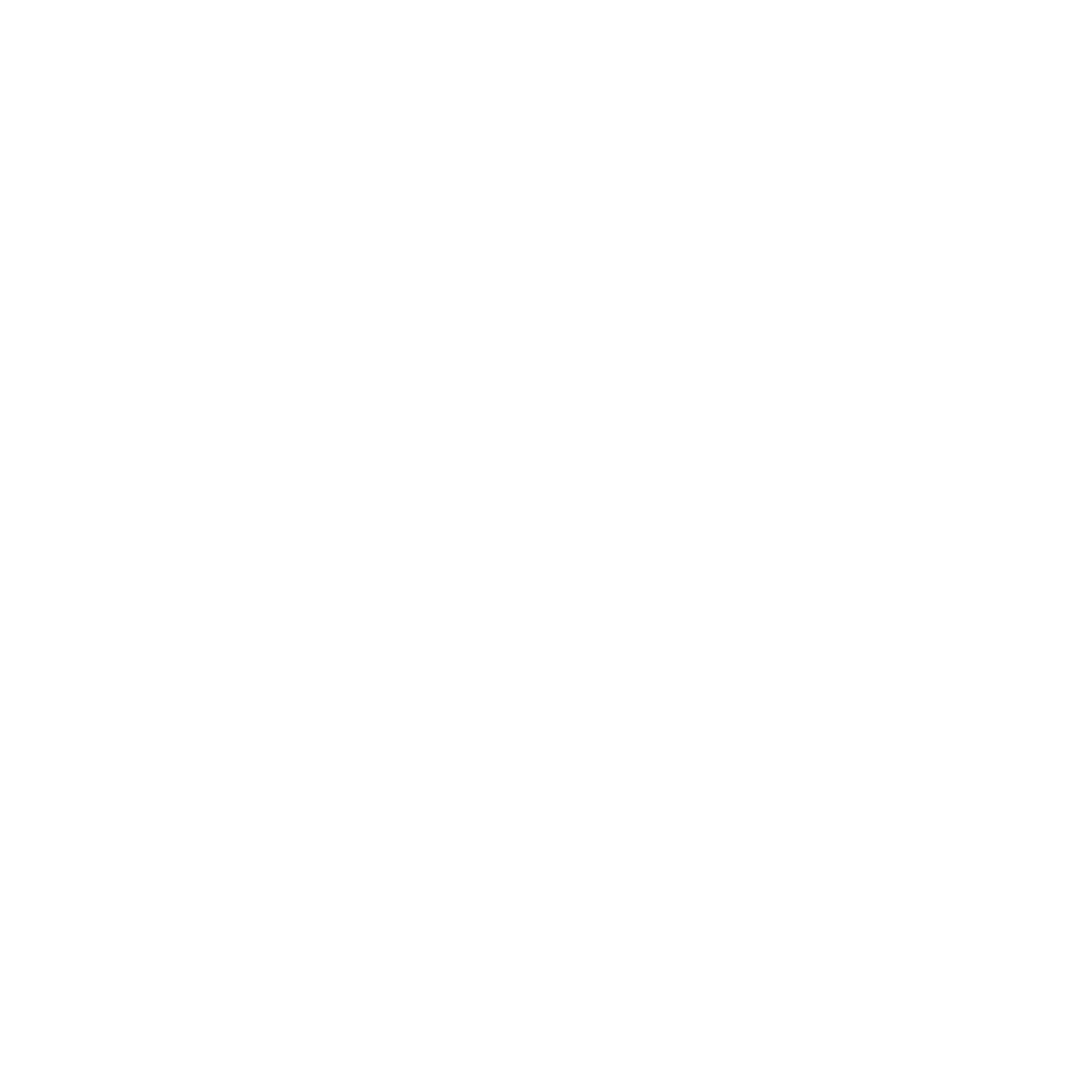 Logo Decimus Bianco